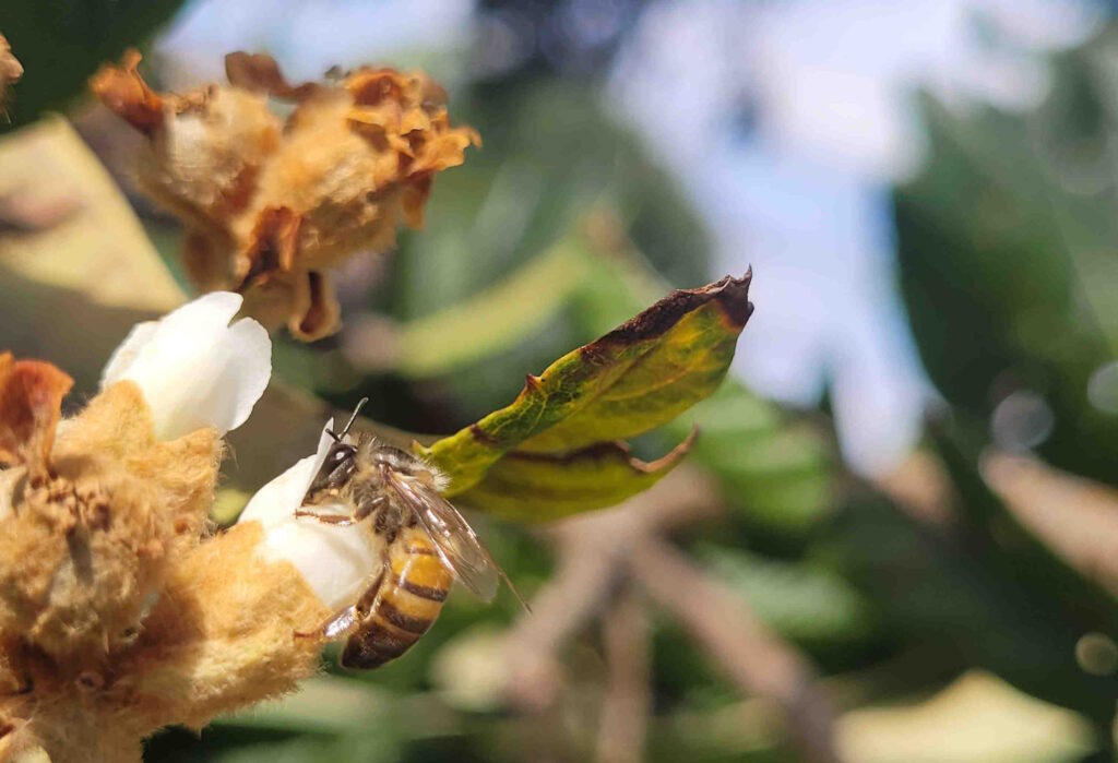 ‘Em um minuto se vive uma vida’